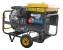 Groupe Autonome Groupe electrogene VANGUARD 18KVA 400/230V FUEL cuve 25L AY-20000 TX V Ayerbe