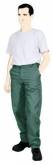 Pantalon Polyester Coton SANFOR Vert US 04 BGT