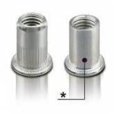 Visserie Fixation Insert filete acier tete cyl. M10 FTT/C (boite de 200) Far