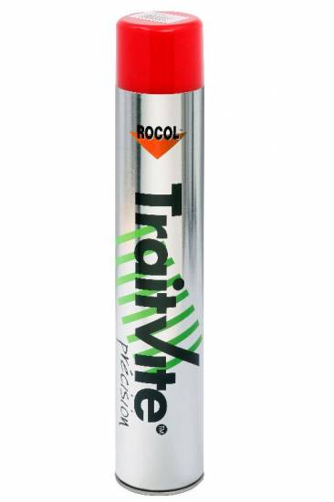 Peinture Traitvite precision rouge Rocol