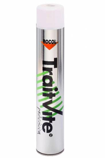 Peinture Traitvite precision blanc Rocol